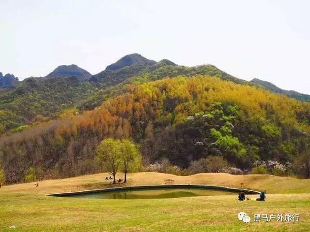 我约男人出来，他开始答应了，后来又说累不想出来，我约他很多次，他都不想出来，说明什么？游戏画面